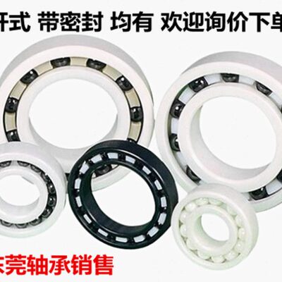 国产瓷轴承6000 6001 6002 6003 6004 6005 6006CE耐腐蚀防静电陶