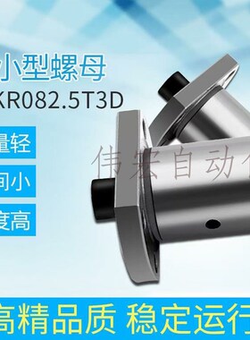 微型小型研磨滚珠丝杆SFK0601.0801.0802.1002.1004.1202丝杠螺母