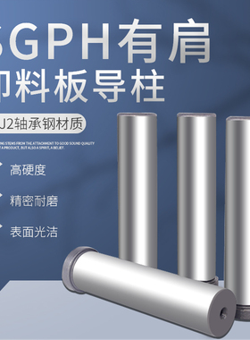 卸料板导柱SGPH13/16/20/25无油槽导柱导套SGPR精密T型无肩内导柱