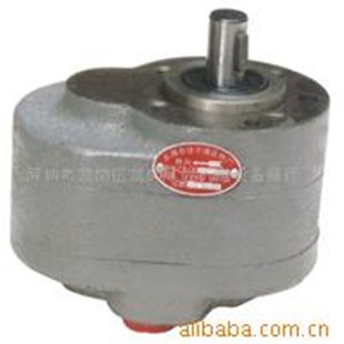 B25液压输油CB B20润滑泵CB B32抽油齿轮泵 B16低压齿轮油泵CB