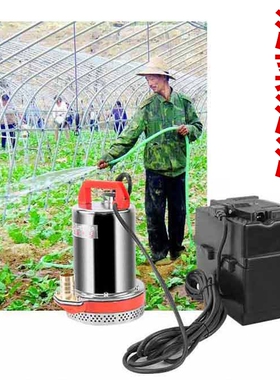 自吸高扬程12v便携式蓄电池水泵磅电瓶车抽水机24v48伏高压潜水棒