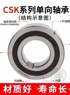 单向轴承CSK BB 8 10 12 15 17 20 25 30 35 40 PP 2K 内外带槽