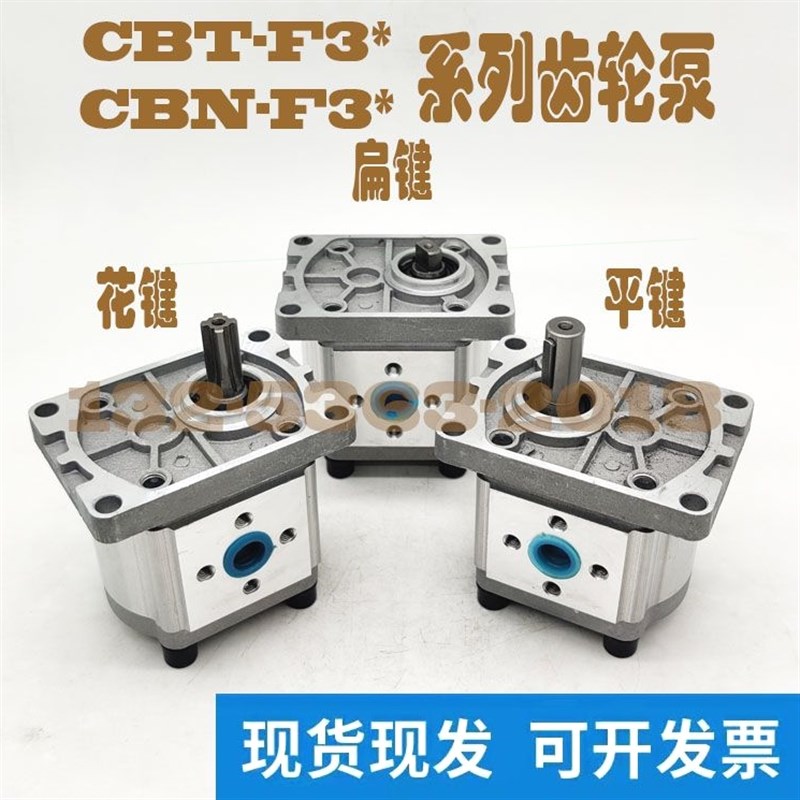 德国进口液压齿轮泵CBT-F310 液压油泵CBN-F306 314 320 液压泵