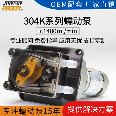 杰恒304K蠕动泵大流量自吸循环泵24v糖浆泵饮料灌装机小型抽水泵