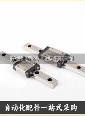 SSEB13/SSE2B13-45/70/95/120/145/170/195/220/245直线导轨线轨