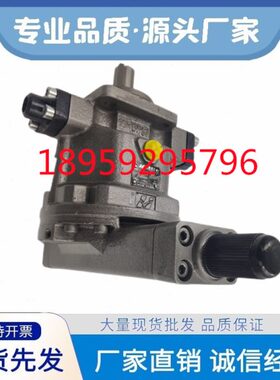 HY16 25 32 45 55 63 71 80 107 125 160 250P01 4-RP/LP恒源油泵