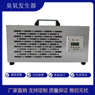 手提式 30g臭氧发生器定时开关操作简单污水处理车间空气消毒杀菌
