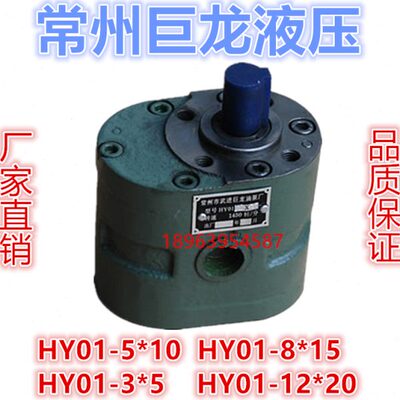 常州巨龙齿轮泵 HY01-3X5 X10 8X15 12X20 18X25 35 50 70 100