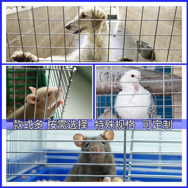 镀锌电焊网片铁丝网组装加粗笼子户外养殖小孔加密钢丝隔离防护网