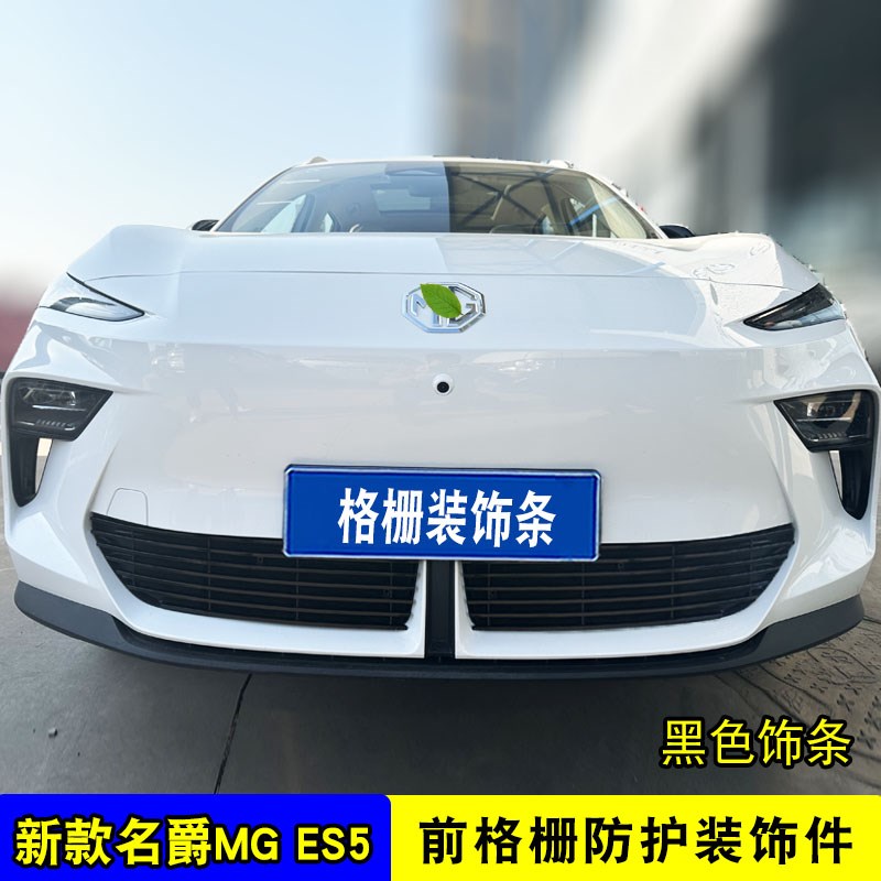 名爵MGES5中网外观改装前脸保险杠汽车用品配件防虫网装饰件