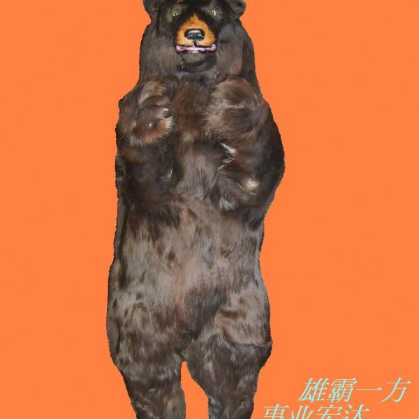 真皮毛高仿真黑熊标本1:1规格 寓意红财富雄霸天下 逼真影视道具