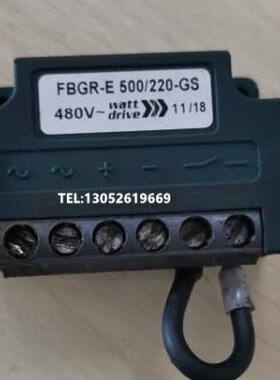 FBGR E500/220-GS  FBGR E400/175-GS  电机刹车整流器 整流电源