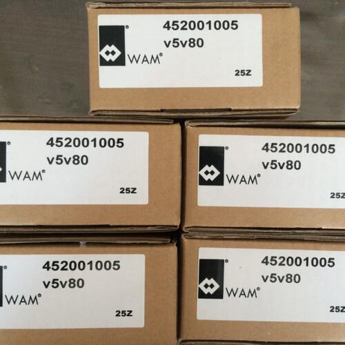 WAM限位开关MOD MIC23 250V 10A库存现货 WAM