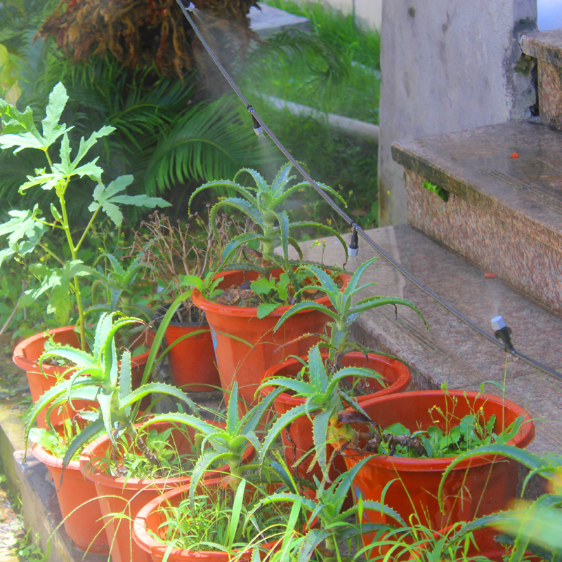 雾化微喷头套装 自动浇花器降温喷雾 喷头 喷灌系统 农业灌溉设备