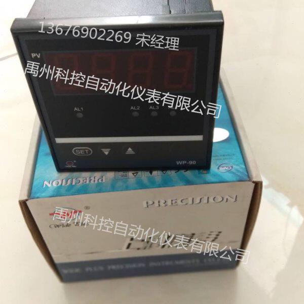 福建上润WP-D921-022-1212-N-2P双路数显温控仪数显仪