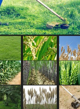 WM链条盘锯片割草机配件 园林除草锯树枝刀片230mm9英寸20齿