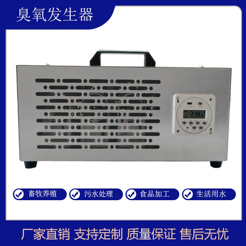 手提式30g臭氧发生器定时开关操作简单污水处理车间空气消毒杀菌