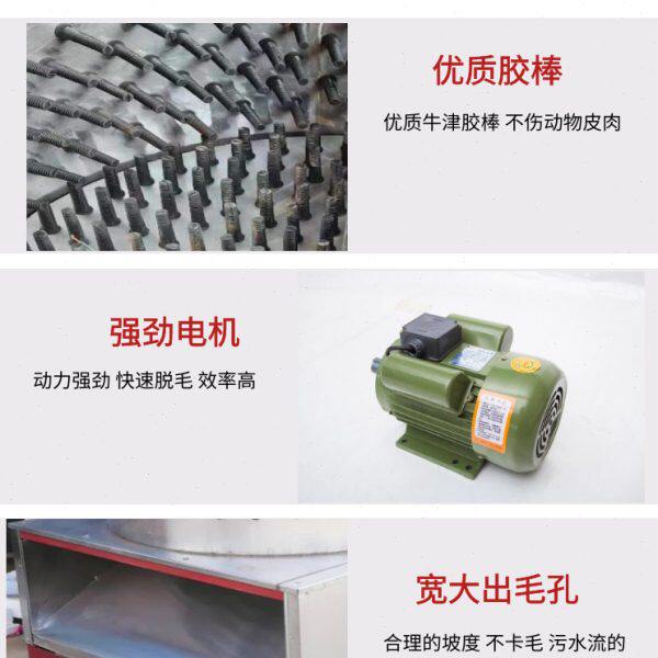 大型羊狗专用脱毛机不锈钢家禽打毛机拔毛机全自动鸡鸭鹅去毛神器