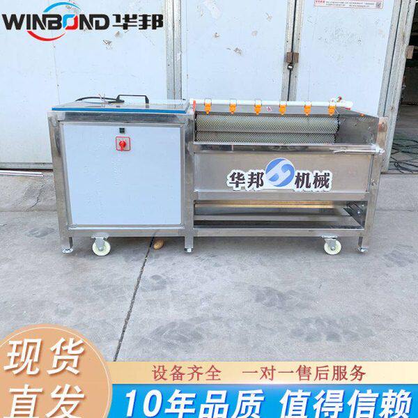 厂家供应 红薯加工专用去皮清洗设备 越南地瓜清洗机 毛辊清洗机