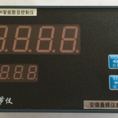 HSRB1299102PAH 智能数显控制仪
