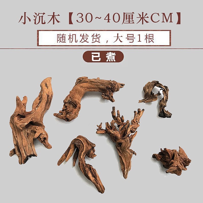 树根摆件 d枯木鱼缸造景紫柚木精品小号沉木迷你水族装饰树桩晒