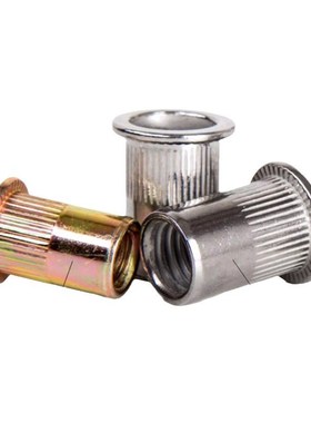 304不锈钢 彩锌 圆柱竖纹平头铆螺母套装 136pcs/170pcs-244pcs