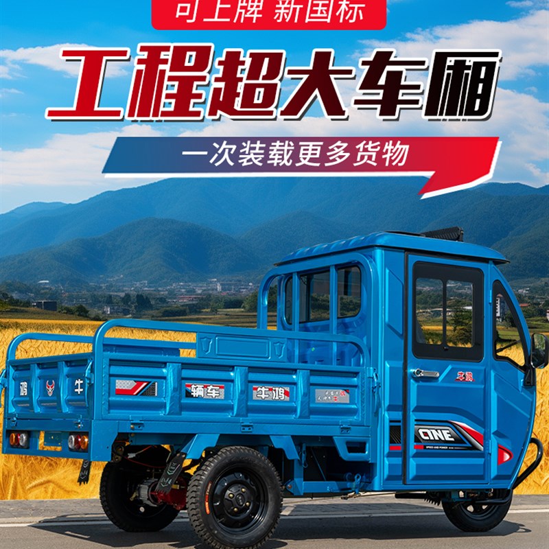 电动三轮车小型拉货家用货车2025新款农用国标可上牌载重王带雨棚