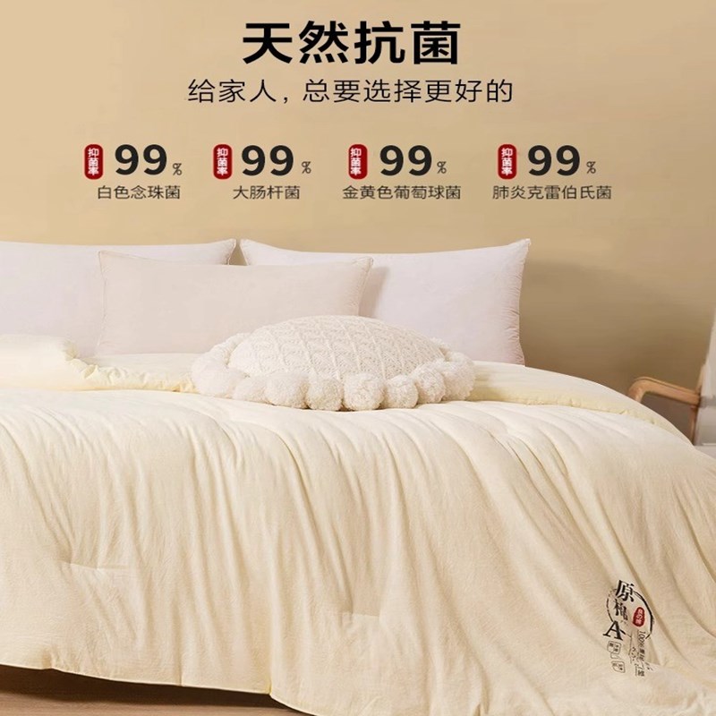 加厚春秋被大豆纤维被芯被子宿舍单双人夏凉被四季通用空调被冬被