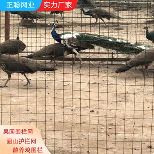 公路围栏网隔离栅 养鸡铁丝网 围栏网养殖 池塘防护网 养鸡荷兰网