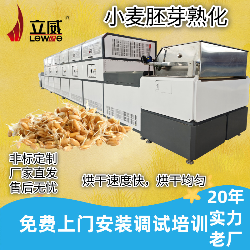 立威杂粮种子灭活机器 隧道式小麦胚芽烘干设备 微波干燥灭活设备