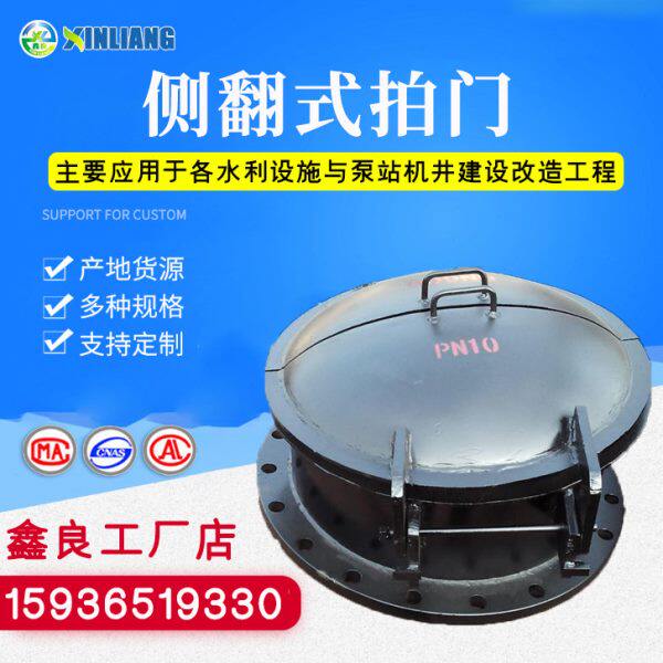 污水拍门 侧翻式拍门 浮箱拍门 铸铁拍门阀 水处理阀 拍门