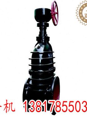 Z44T-10铁制平行式双闸板闸阀双闸板铜芯明杆闸阀DN40-DN400