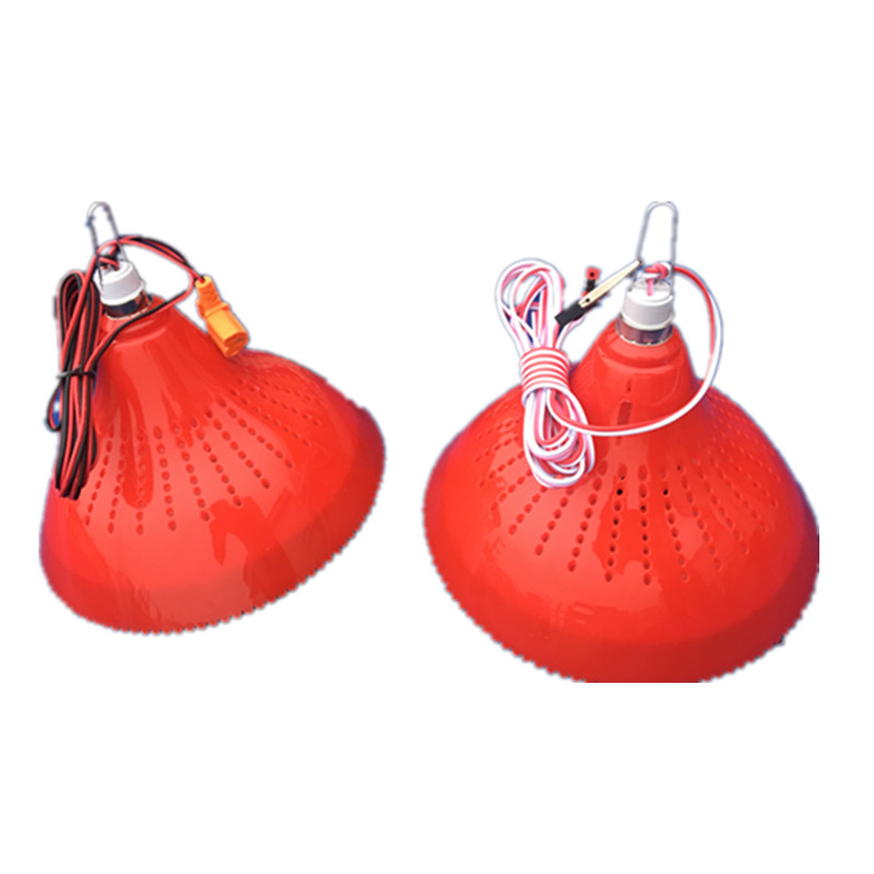 12V电瓶用熟食灯水果灯卤肉卤菜灯48v60V72伏电动三轮车低压led灯