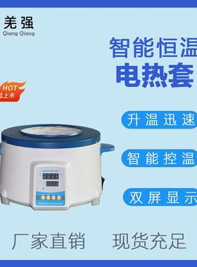 智能恒温电热套实验室控温磁力搅拌调温加热套ZNHW调温电热套