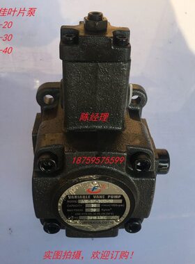 捷佳变量叶片泵油泵 VP-30 VP-20 VP15 VP-40  低噪音捷佳油泵