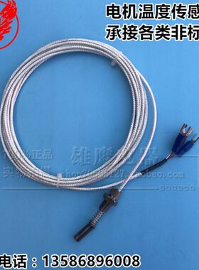 T表面 WM0 10Z空压机-P 端20铂热电阻电机面P热电阻温度传感器1