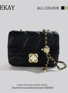 CEEKAY小众品牌黑p色迷你链条包高级感精致小包包女秋季新款斜挎