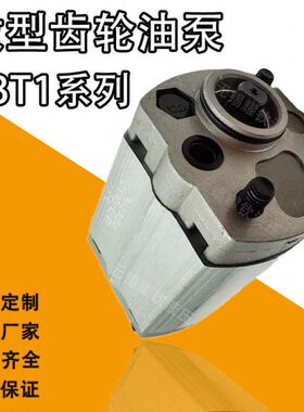 /F/F-FT6C.8-F2020B2.5 4BC. T208.18油泵201-F.21B4206CT齿轮泵