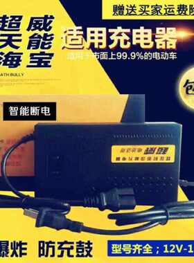 洲2铃AV5本H6H0V0V大H712A伏特佳AAV30020新4H6电动车充电器48V8