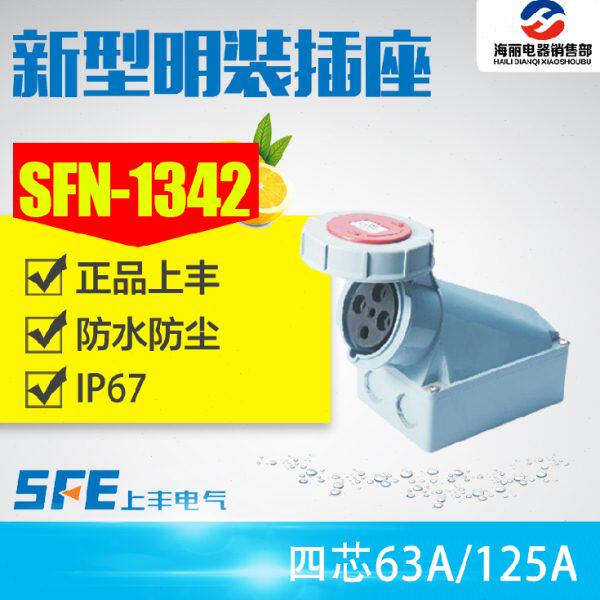 SFN-1342 SFN-1442工业防水插头插座4芯63A 125A380V 4孔明装插座