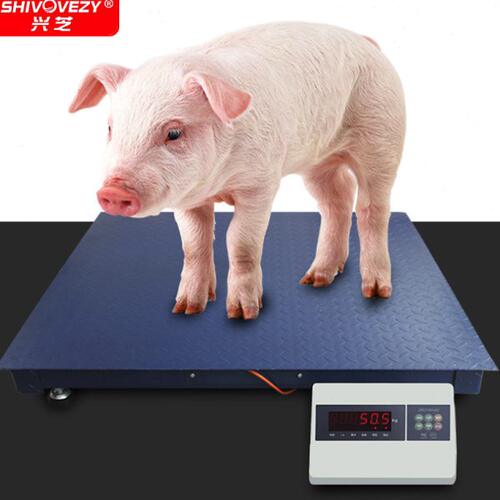 小型地磅秤1吨3吨5吨物流工厂用称重猪牛带围栏防抖工业平台秤