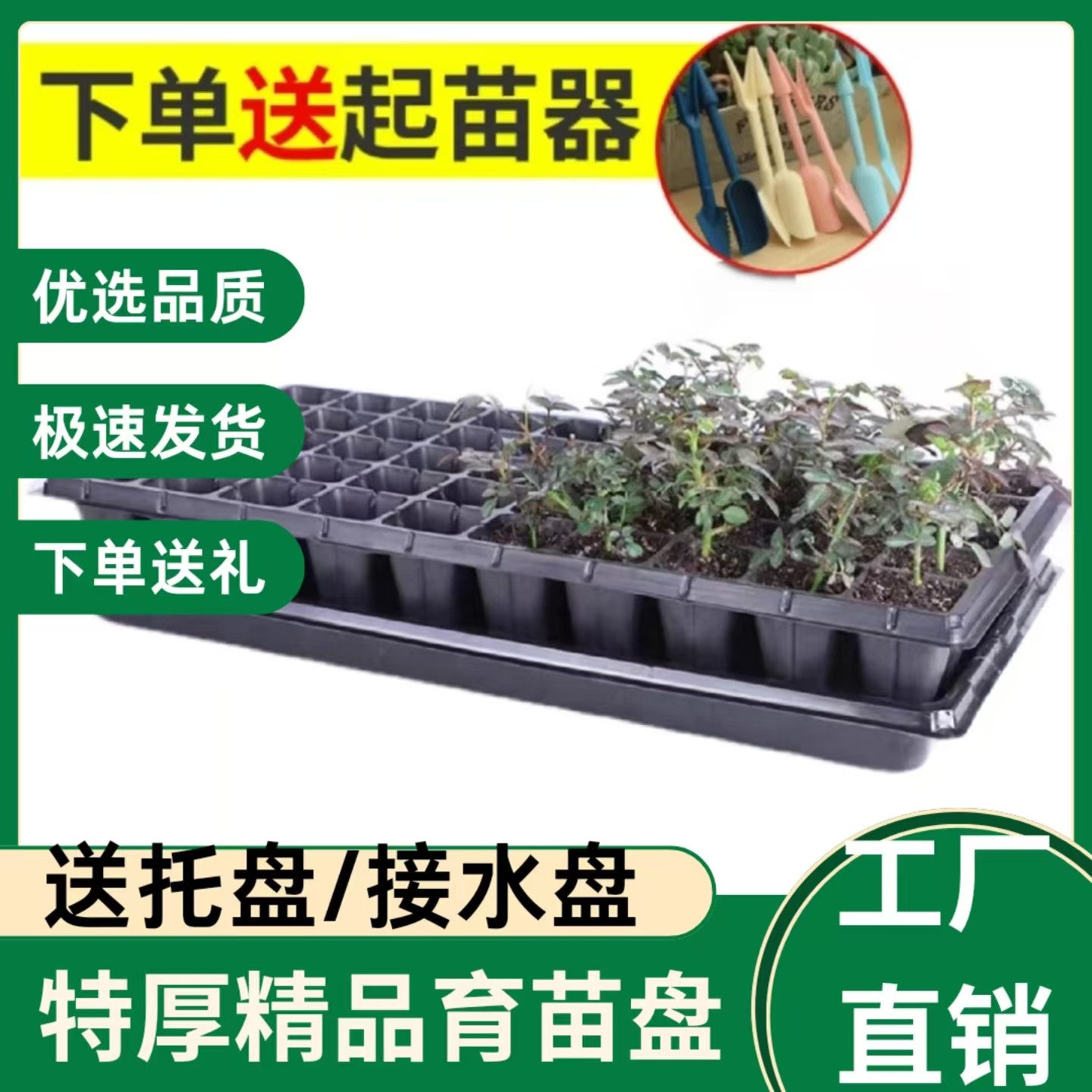 育苗穴盘家庭育苗神器花卉玉米多肉蔬菜育苗盘接水盘阳台基质盘