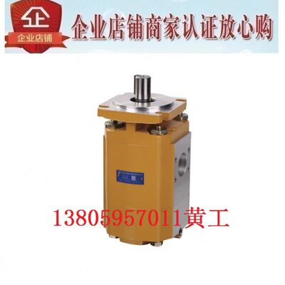 HCHC合肥长源齿轮泵CBKP80/32-BFP CBKP80/40 CBKP80/50