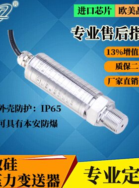 环工仪表扩散硅压力变送器PB8400引线型压力传感器可定制