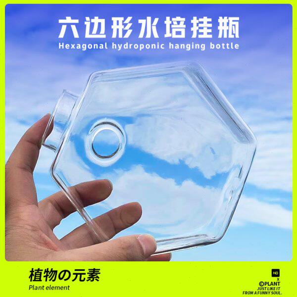 小清新创意六边形水培透明玻璃花瓶绿萝植物挂壁办公室微景观摆件