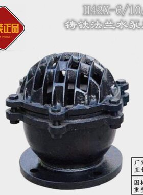 10法兰压力N1单向阀D止回阀H40阀0X铸铁底2沪工上海莲蓬头166水泵