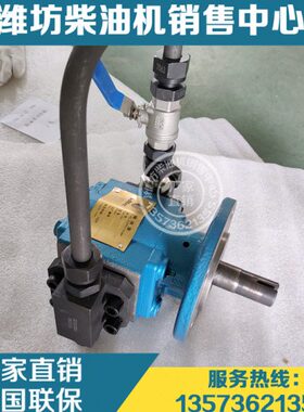 XCW8200潍柴6200重庆C62.08.27.0000燃油输送油泵C62.08.22.1000