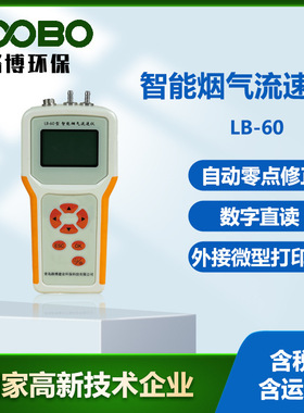 烟气流速监测仪 智能气体流速仪LB-60型  烟气管道烟气流速测试仪