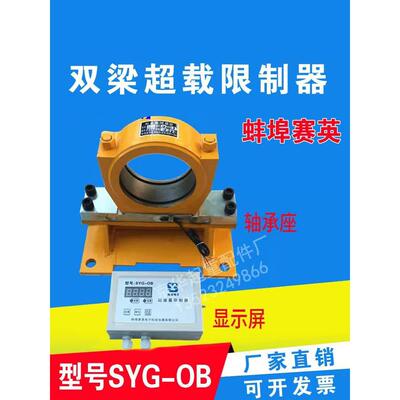 适用双梁超载限制器行车起重量限重器蚌埠赛英SYG-OB型双梁起重机