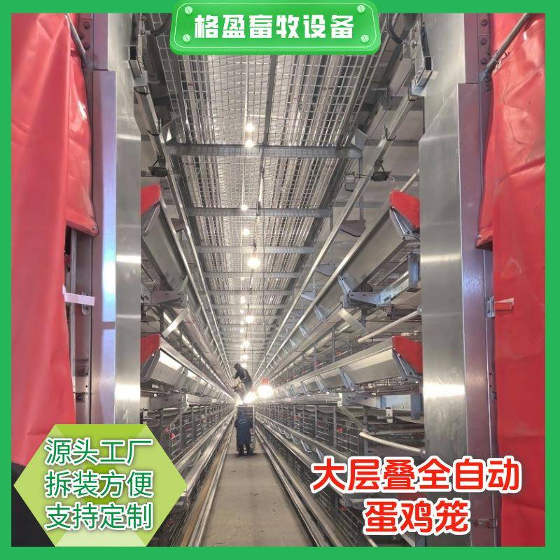 厂家热镀锌大层叠蛋鸡笼集蛋清粪一体全自动养殖设备肉鸡笼
